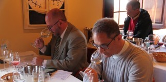 Un total de 194 vinos optan al Premio de Mejor Vino de Canarias 2016 y solo uno es de La Gomera