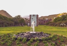 Mantenimiento Ecológico de Jardines en Canarias