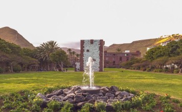 Mantenimiento Ecológico de Jardines en Canarias