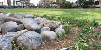 El Ayuntamiento de San Sebastián muestra su preocupación por algunos actos vandálicos en el mobiliario público