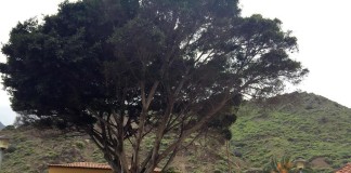 El Ayuntamiento de Hermigua mejora el entorno de la Plaza de la Encarnación