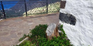 «Solveida Clemente y sus concejales demuestran públicamente su ignorancia»