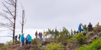 La Gomera celebra una jornada dedicada a la gestión forestal ecológica y creación de infraestructuras verdes