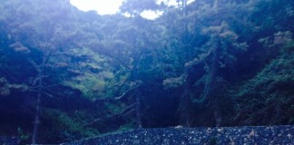 NC-ADGomera insta al Cabildo a finalizar las obras del Área Recreativa Barranco La Madera