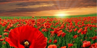 Cielos nubosos y lluvias débiles hoy con el comienzo de la primavera