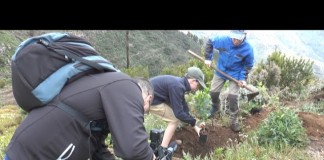 Los turistas “plantan su semilla” en el Día Internacional del Árbol