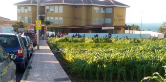 Piden más presencia de la Policía Local de San Sebastián en el colegio de La Lomada