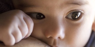 Por qué la leche materna no se puede sustituir por nada La OMS recomienda seis meses de lactancia exclusiva Consuelo Bautista