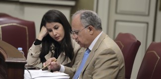 Melodie Mendoza pide llevar a la Unión Europea los costes de la doble insularidad