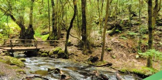La Gomera se promociona en Alemania y Austria de cara a la temporada de verano