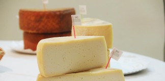 Tres muestras y dos queserías de La Gomera compiten por convertirse en el ‘Mejor Queso de Canarias’