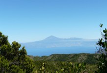 Involcan pide tranquilidad tras un nuevo enjambre sísmico en Tenerife: no aumenta el riesgo de erupción “a corto o medio plazo”