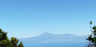 El Gobierno de Canarias sin rumbo en materia cinegética