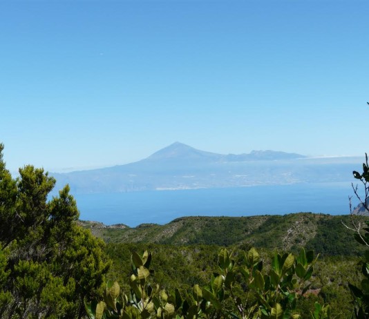 Involcan pide tranquilidad tras un nuevo enjambre sísmico en Tenerife: no aumenta el riesgo de erupción “a corto o medio plazo”