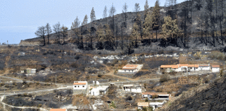 Curbelo defiende la labor de Ortiz tras su imputación por el incendio de la Gomera