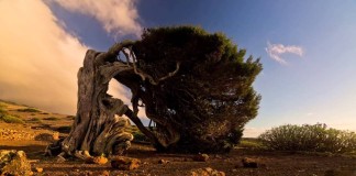 Más de un millón de europeos vieron el vídeo de Canarias del ‘Día de la Tierra’