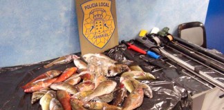 El Gobierno acuerda con la Autoridad Portuaria de Santa Cruz de Tenerife colaborar en la lucha contra el furtivismo