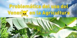 El Ayuntamiento de Valle Gran Rey organiza tres cursos formativos entre mayo y junio