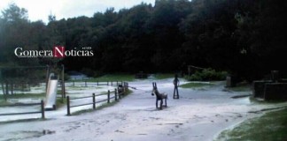 El viejo burro de madera