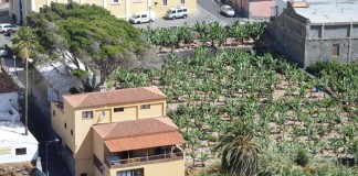 Continúan en Hermigua las charlas de Afate sobre las personas con Alzheimer y otras demencias