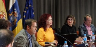 Cabildo y ZEC presentan a los ayuntamientos y empresarios las ventajas del Consorcio