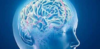 El servicio de Salud Mental del Hospital Nuestra Señora de Guadalupe atiende a una media de 18 pacientes al día