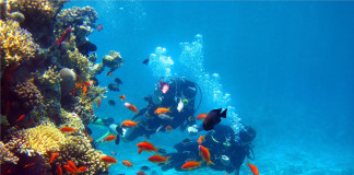 San Sebastián acoge este fin de semana un nuevo bautismo de buceo