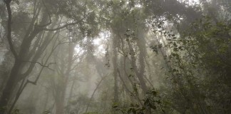 Lluvias y posibles chubascos fuertes en Canarias este miércoles
