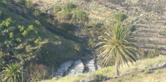 Se da por controlado el incendio en El Cercado