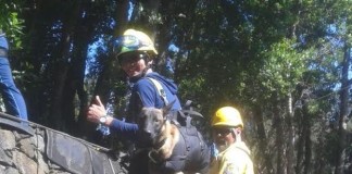 San Sebastián de La Gomera acogerá este lunes una exhibición de rescate con perros