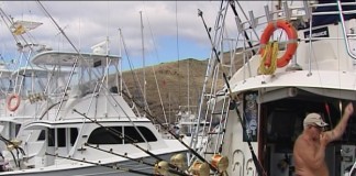 ‘Marina La Gomera’ ultima el XVI Campeonato de Pesca con una alta participación de embarcaciones