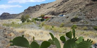 El SEPRONA en La Gomera investiga a tres personas por delitos medioambientales