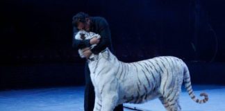 El Cirkus Kaos lleva a La Gomera un gran espectáculo tras 14 años