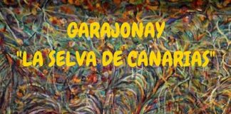 “Garajonay, la selva de Canarias” se expone en Santa Cruz de Tenerife
