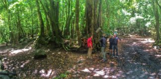 La Gomera se convierte en plató para la grabación de dos documentales