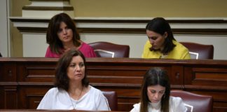 Aprobada la petición del PSOE de protección y mejora de Majona