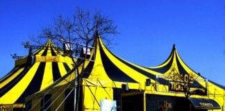 Sí se puede rechaza que en La Gomera haya espectáculos de circo que utilicen animales