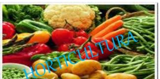 Vallehermoso celebrará una jornada sobre horticultura este jueves