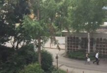 Tiroteo en un centro comercial de Múnich