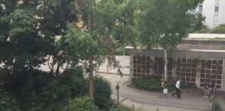 Tiroteo en un centro comercial de Múnich