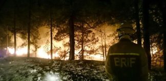 El Gobierno finaliza la alerta por incendios forestales en La Gomera, Gran Canaria, El Hierro y Tenerife