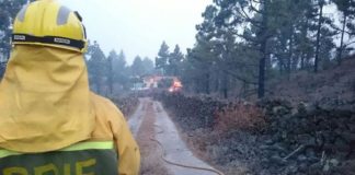 Operarios del Cabildo de La Gomera se sumaron a las labores de extinción del incendio de La Palma
