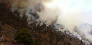 Un alemán, detenido por el incendio de La Palma, fruto de la quema de rastrojos