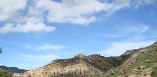 El Ayuntamiento pone a disposición de los agricultores de Vallehermoso material vegetal triturado