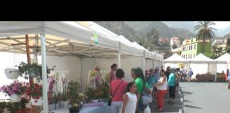 La Feria Insular de Comercio congrega a numerosos visitantes en Vallehermoso