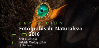 El Cabildo Insular y la Fundación CajaCanarias inauguran esta lunes la exposición “Fotógrafos de Naturaleza”