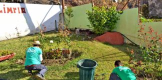 Continúan los trabajos del Plan de Empleo Social 2016 en Hermigua