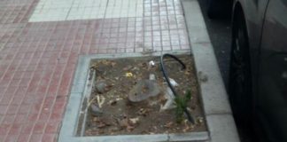 Sí se puede en Valle Gran Rey propone la eliminación de tocones y adecuación de alcorques y aceras en El Pescuecito