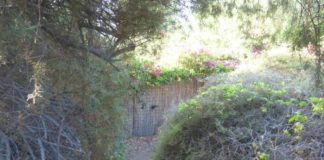 Sí se puede propone que el Ayuntamiento de Valle Gran Rey defienda los caminos públicos municipales