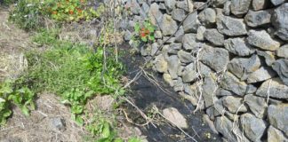 Sí se puede en Vallehermoso denuncia vertidos de aguas negras en la Depuradora del Cercado